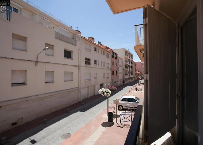 T2 Prestige Bandol